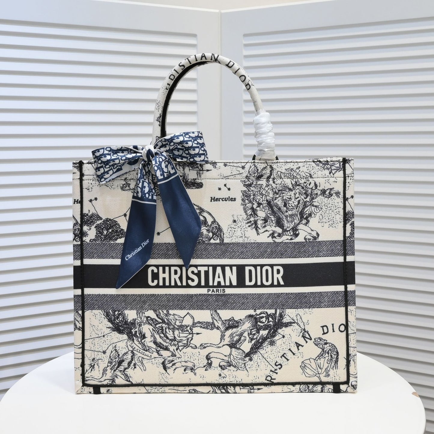 2025 Bag Classic Tote Bag W241