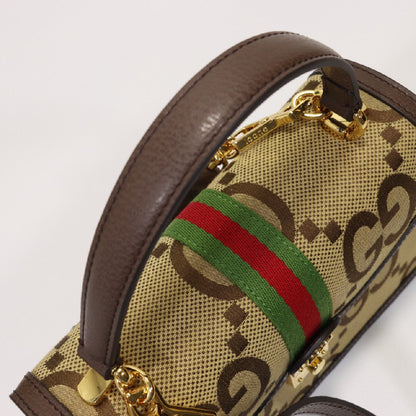 2025 Bag Classic Top-handle Bag G48