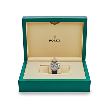 2025 Watch Daytona 'Eye of the Tiger' 116589TBR White Gold